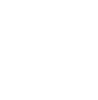 Branding Icon